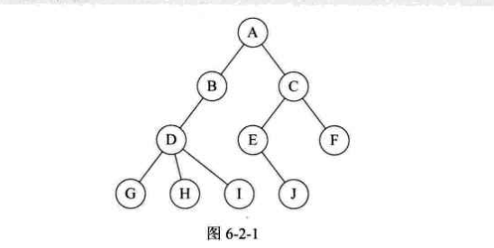 树的结构图